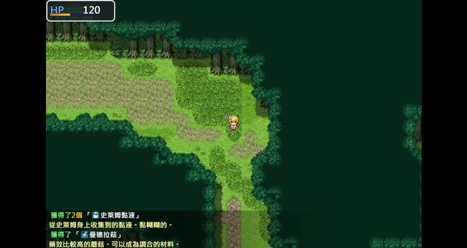Adventurer Liena screenshot